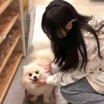 刺激战场李云龙语音包下载